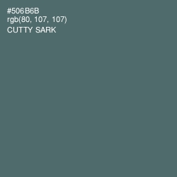 #506B6B - Cutty Sark Color Image