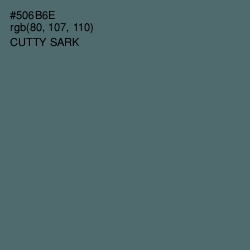 #506B6E - Cutty Sark Color Image