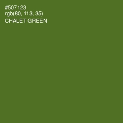 #507123 - Chalet Green Color Image