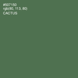 #507150 - Cactus Color Image