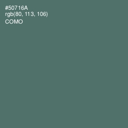 #50716A - Como Color Image
