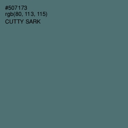 #507173 - Cutty Sark Color Image