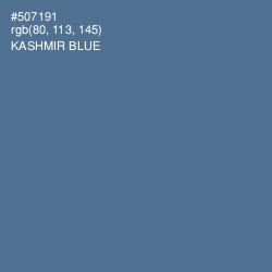 #507191 - Kashmir Blue Color Image