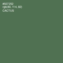 #507252 - Cactus Color Image