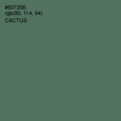 #50725E - Cactus Color Image