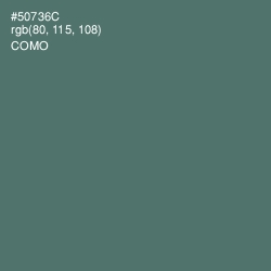 #50736C - Como Color Image