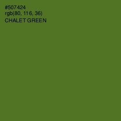 #507424 - Chalet Green Color Image