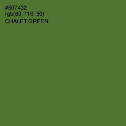 #507432 - Chalet Green Color Image