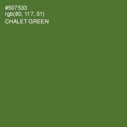 #507533 - Chalet Green Color Image