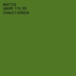 #507723 - Chalet Green Color Image