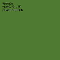 #507930 - Chalet Green Color Image