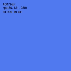 #5079EF - Royal Blue Color Image