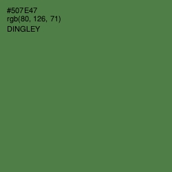 #507E47 - Dingley Color Image