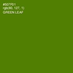 #507F01 - Green Leaf Color Image