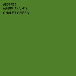 #507F29 - Chalet Green Color Image