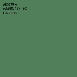 #507F5A - Cactus Color Image