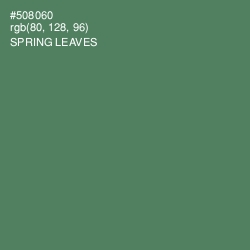 #508060 - Spring Leaves Color Image