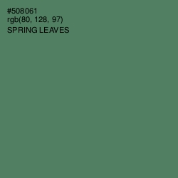 #508061 - Spring Leaves Color Image