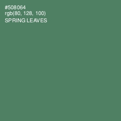 #508064 - Spring Leaves Color Image
