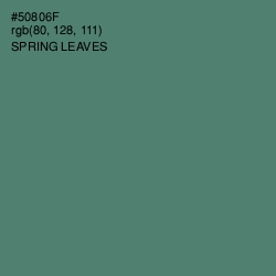 #50806F - Spring Leaves Color Image