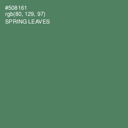 #508161 - Spring Leaves Color Image