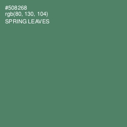 #508268 - Spring Leaves Color Image