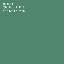 #50866E - Spring Leaves Color Image