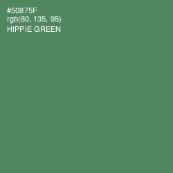 #50875F - Hippie Green Color Image