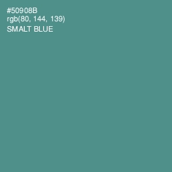 #50908B - Smalt Blue Color Image