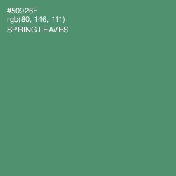#50926F - Spring Leaves Color Image