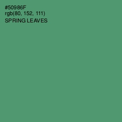 #50986F - Spring Leaves Color Image