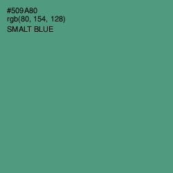 #509A80 - Smalt Blue Color Image