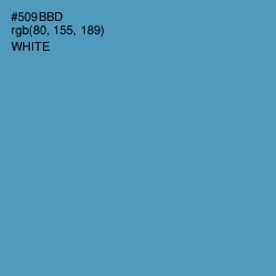 #509BBD - Hippie Blue Color Image