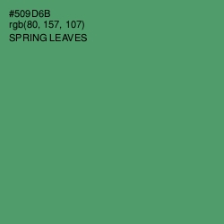 #509D6B - Spring Leaves Color Image