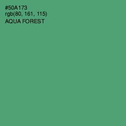 #50A173 - Aqua Forest Color Image
