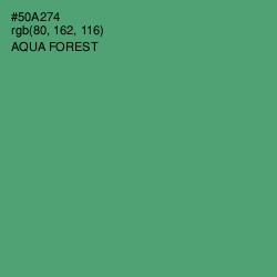 #50A274 - Aqua Forest Color Image