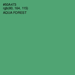 #50A473 - Aqua Forest Color Image