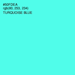 #50FDEA - Turquoise Blue Color Image