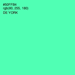 #50FFB4 - De York Color Image