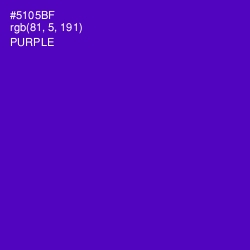 #5105BF - Purple Color Image