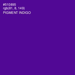 #510895 - Pigment Indigo Color Image
