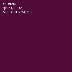 #510B38 - Mulberry Wood Color Image