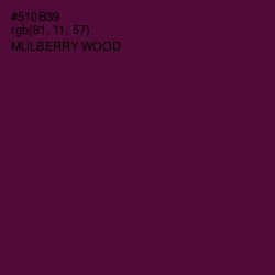 #510B39 - Mulberry Wood Color Image