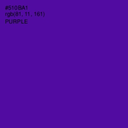 #510BA1 - Purple Color Image