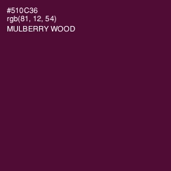 #510C36 - Mulberry Wood Color Image