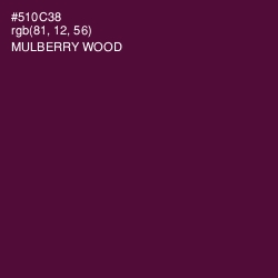 #510C38 - Mulberry Wood Color Image