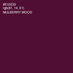 #510E33 - Mulberry Wood Color Image