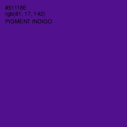 #51118E - Pigment Indigo Color Image