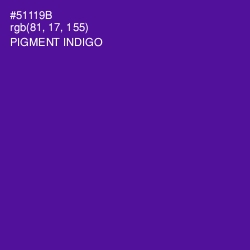 #51119B - Pigment Indigo Color Image