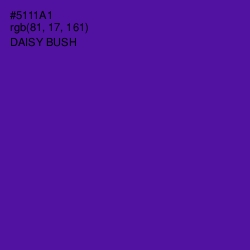 #5111A1 - Daisy Bush Color Image